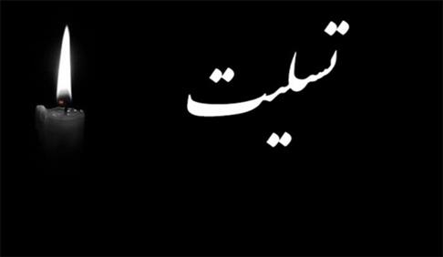 پیام تسلیت رییس سازمان ملی استاندارد ایران در پی درگذشت علامه حسن زاده آملی